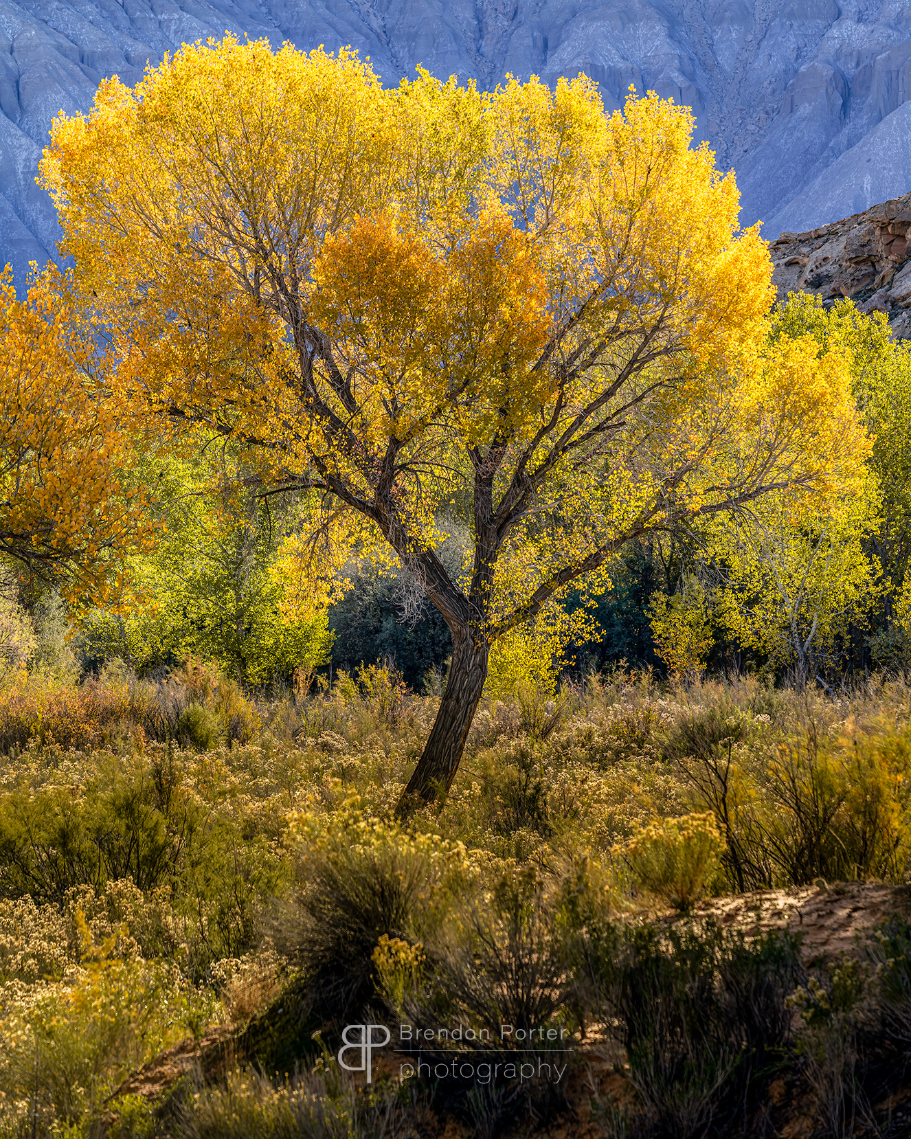 Autumn Scenery